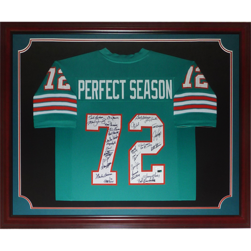  Miami Dolphins Black Frame Jersey Display Case
