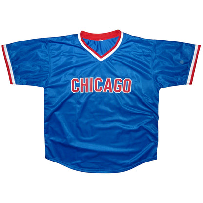 Andre Dawson Autographed Chicago (Blue #8) Custom Baseball Jersey – JSA