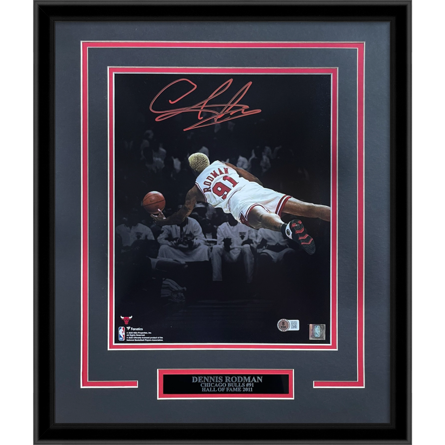 Dennis Rodman Autographed Chicago Bulls (Spotlight Dive) Deluxe Framed 11x14 Photo - JSA