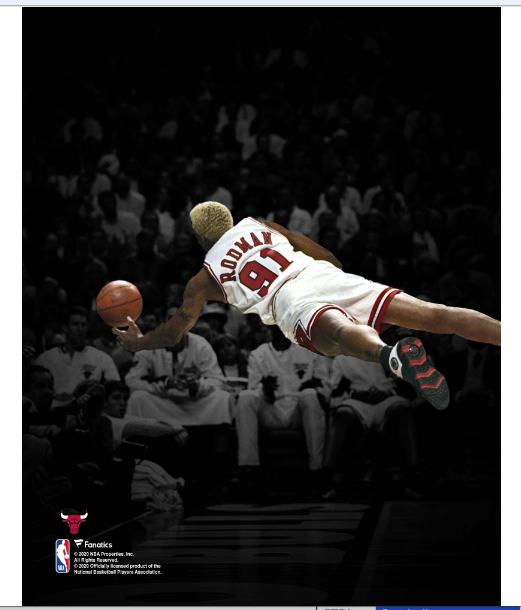 PRESALE - Dennis Rodman Signed Bulls 8x10